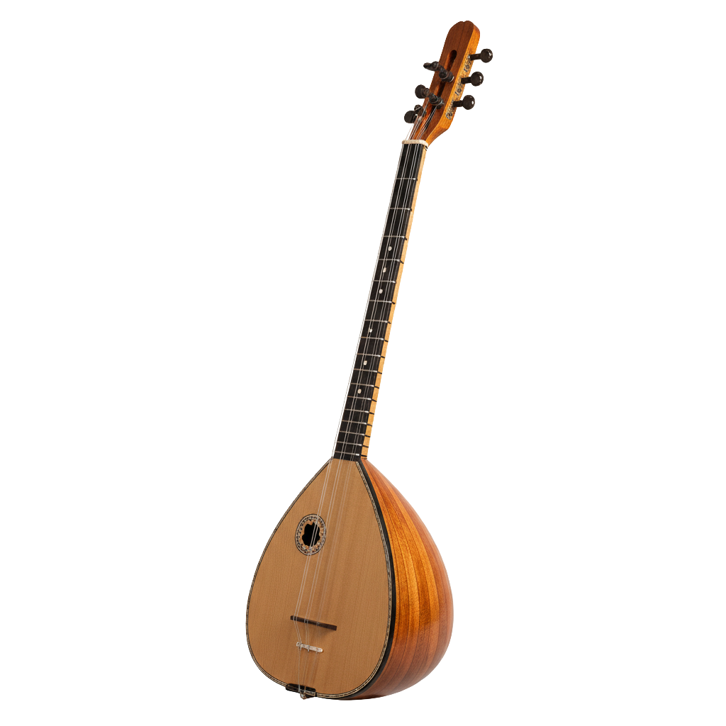 Bağlama long-neck instrument
